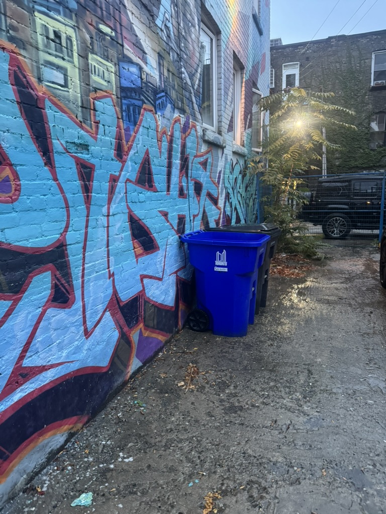 Bin returned to its spot beside the property