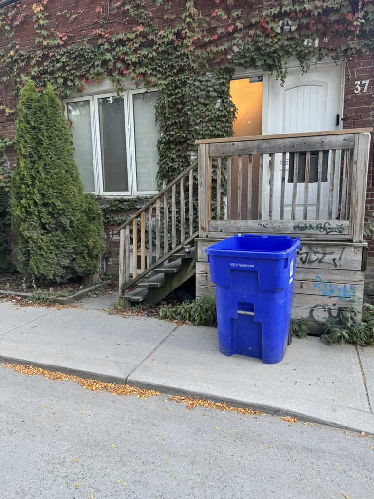 Bin out at the curb on collection day